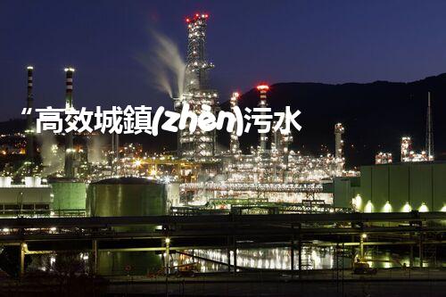 “高效城鎮(zhèn)污水處理流程，守護碧水藍天新篇章”